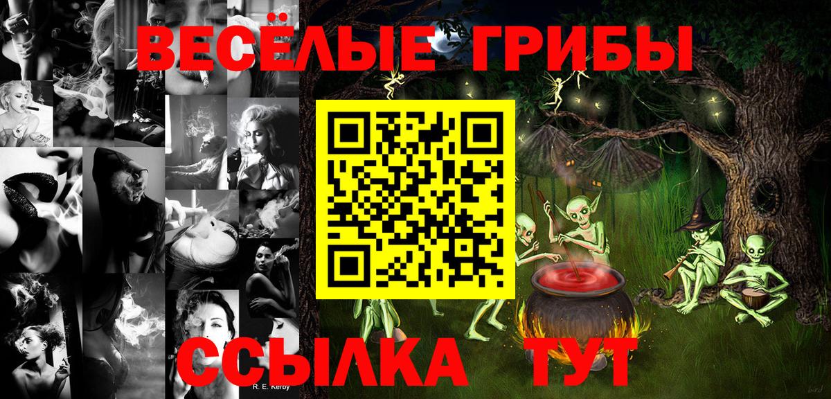 Галлюциногенные грибы Psilocybe  Вход с VPN  Артём 