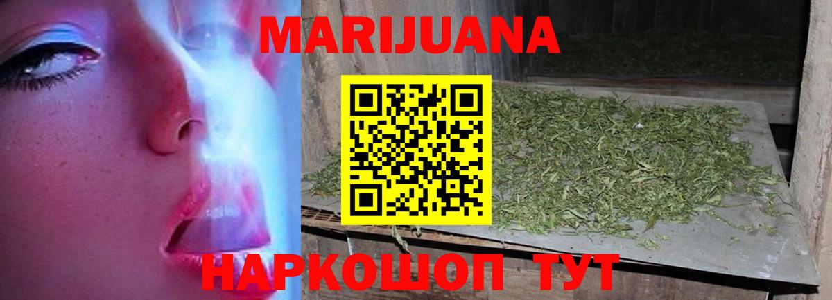 Артём  Шишки марихуана план  Вход с VPN  Бошки Шишки планчик 